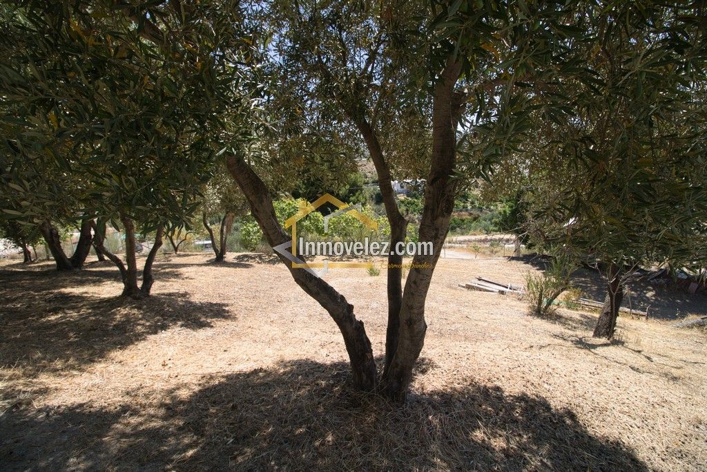 Cortijo en Vélez de Benaudalla (Ref.:0485)