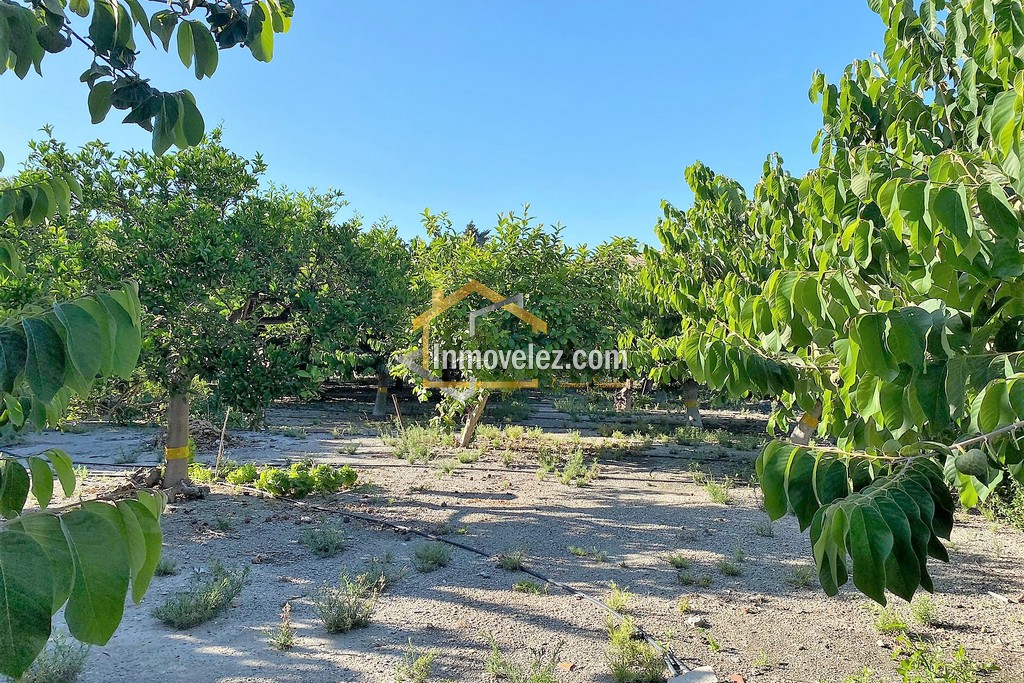 Cortijo y Finca en Motril (Ref.:0270)