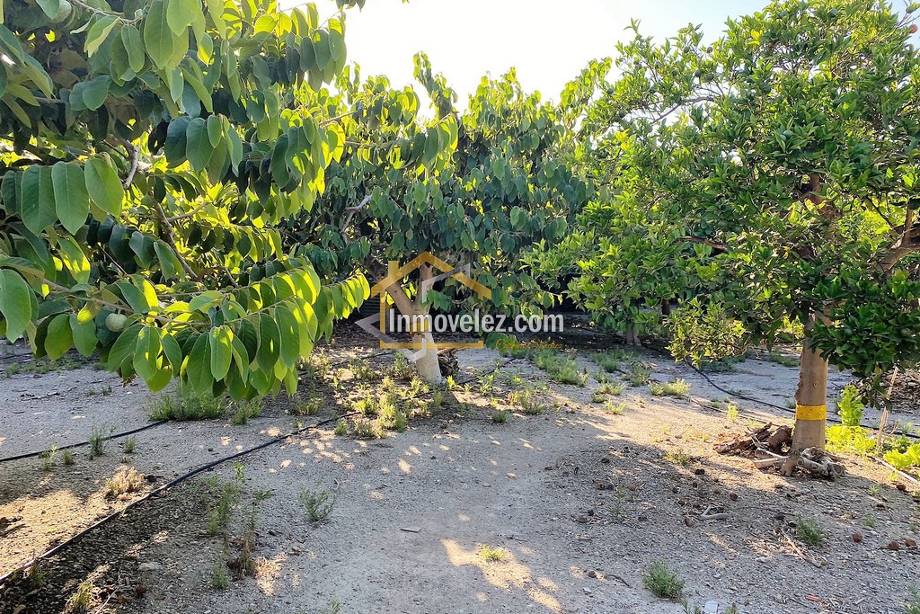 Cortijo y Finca en Motril (Ref.:0270)