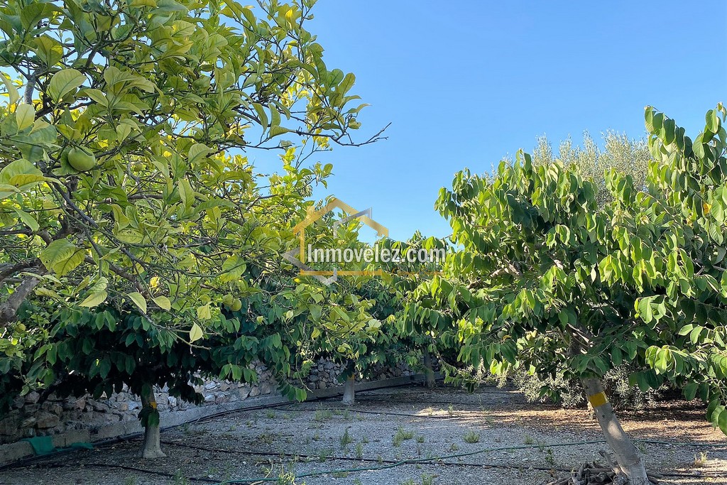 Cortijo y Finca en Motril (Ref.:0270)
