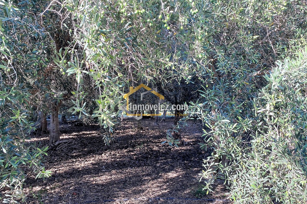Cortijo y Finca en Motril (Ref.:0270)