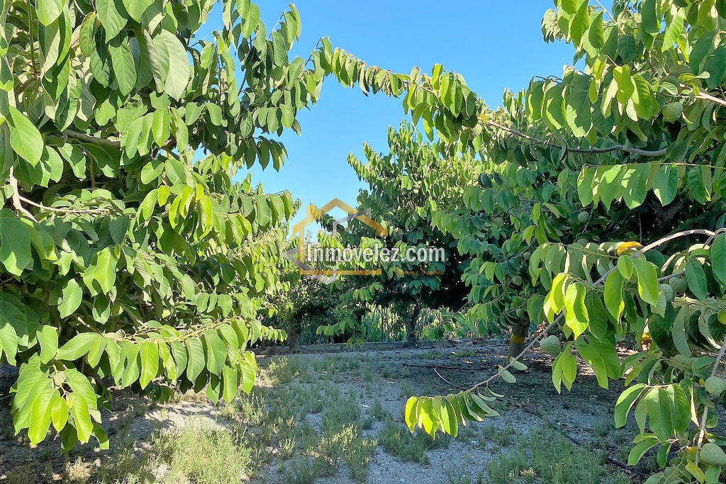 Cortijo y Finca en Motril (Ref.:0270)