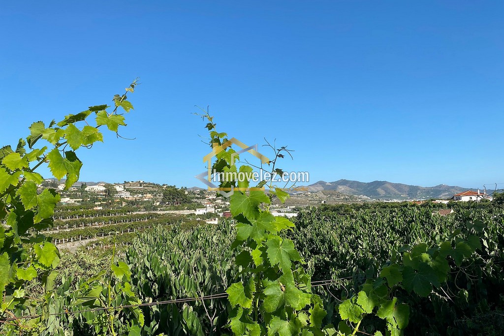 Cortijo y Finca en Motril (Ref.:0270)