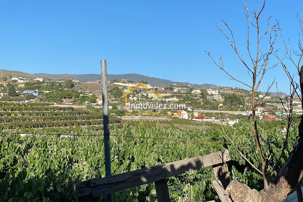 Cortijo y Finca en Motril (Ref.:0270)