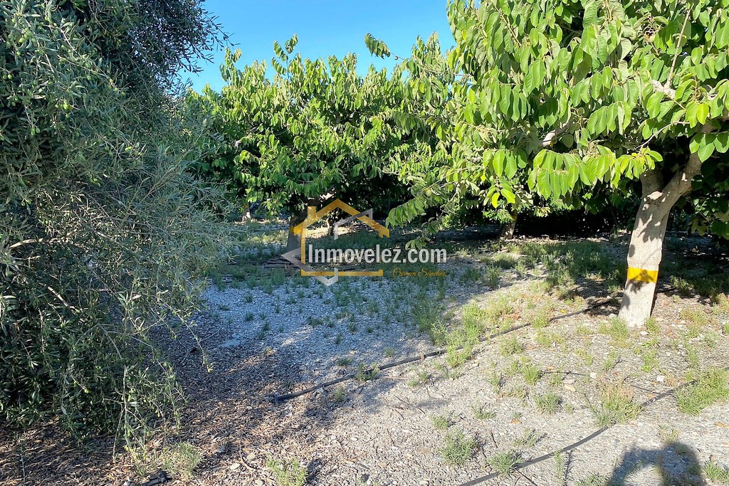 Cortijo y Finca en Motril (Ref.:0270)
