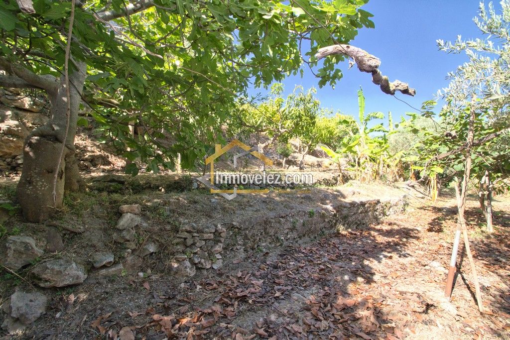 Cortijo en Vélez de Benaudalla (Ref.:0484)