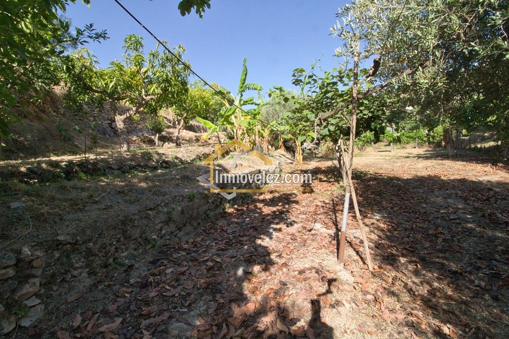 Cortijo en Vélez de Benaudalla (Ref.:0484)