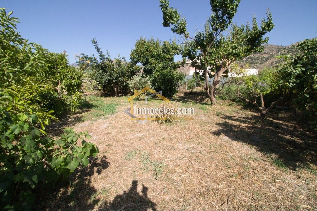Cortijo en Vélez de Benaudalla (Ref.:0484)