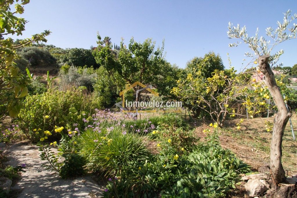Cortijo en Vélez de Benaudalla (Ref.:0484)