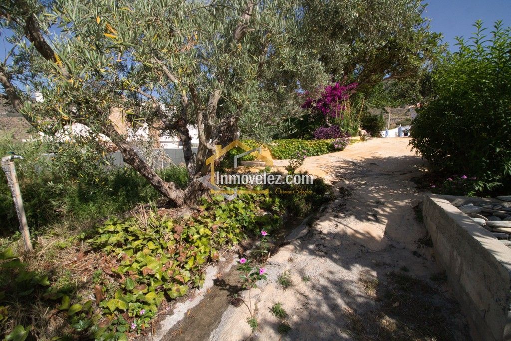 Cortijo en Vélez de Benaudalla (Ref.:0484)