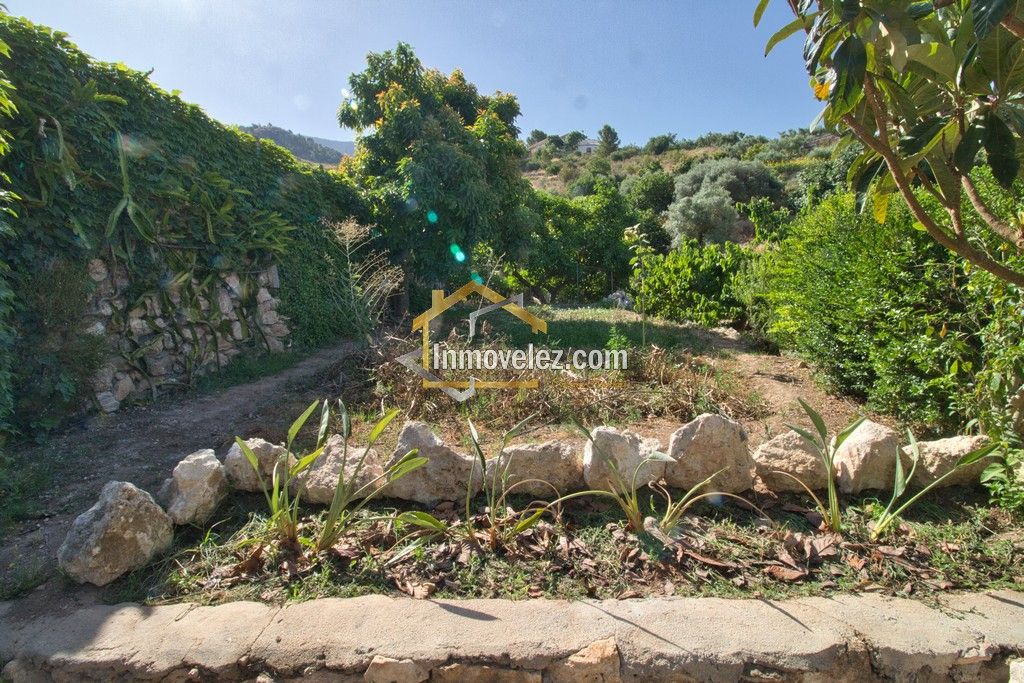 Cortijo en Vélez de Benaudalla (Ref.:0484)