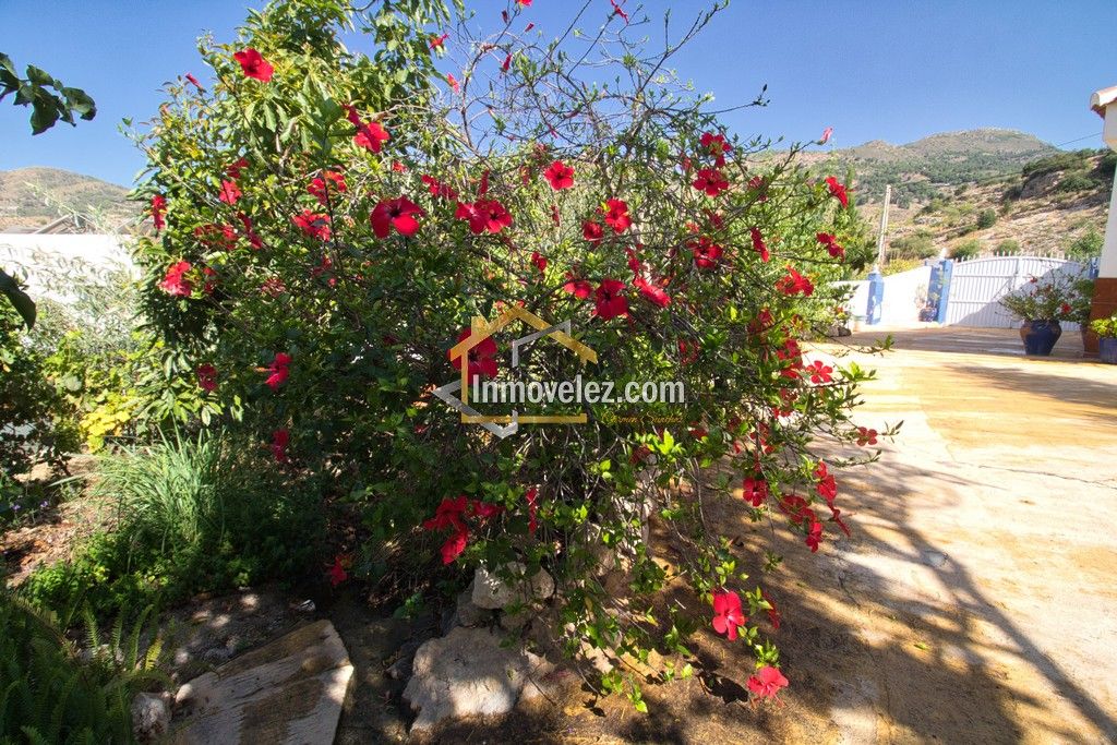 Cortijo en Vélez de Benaudalla (Ref.:0484)