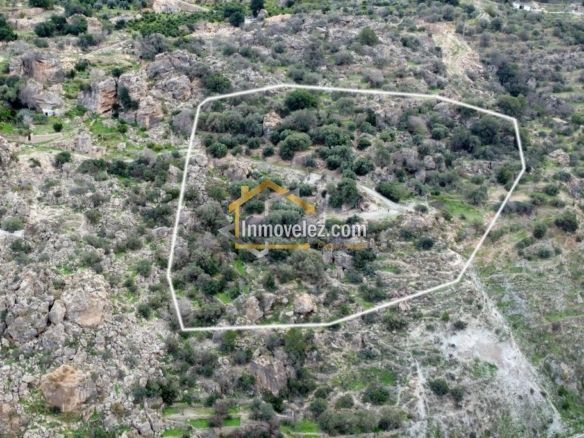Cortijo en Vélez de Benaudalla (Ref.:0497)