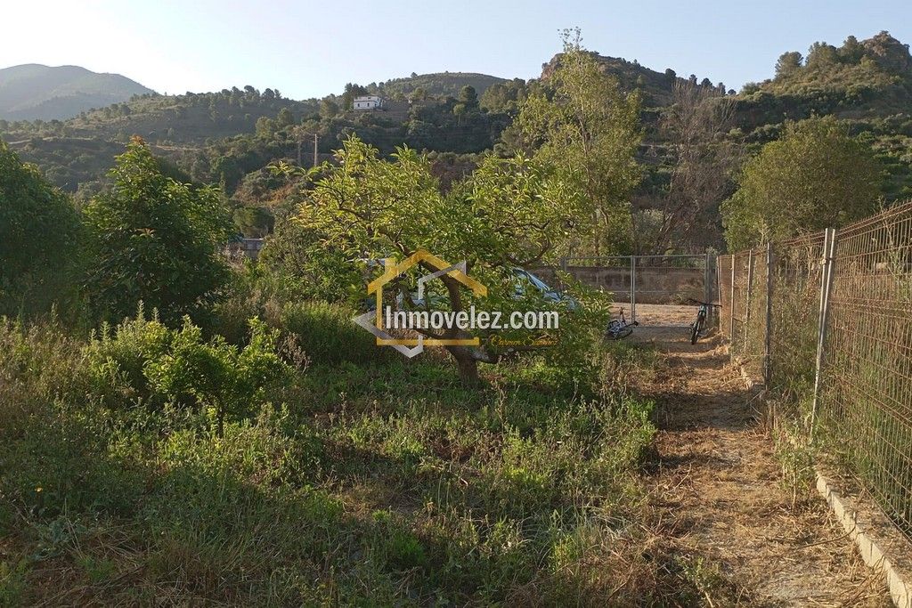 Cortijo en Vélez de Benaudalla (Ref.:0497)