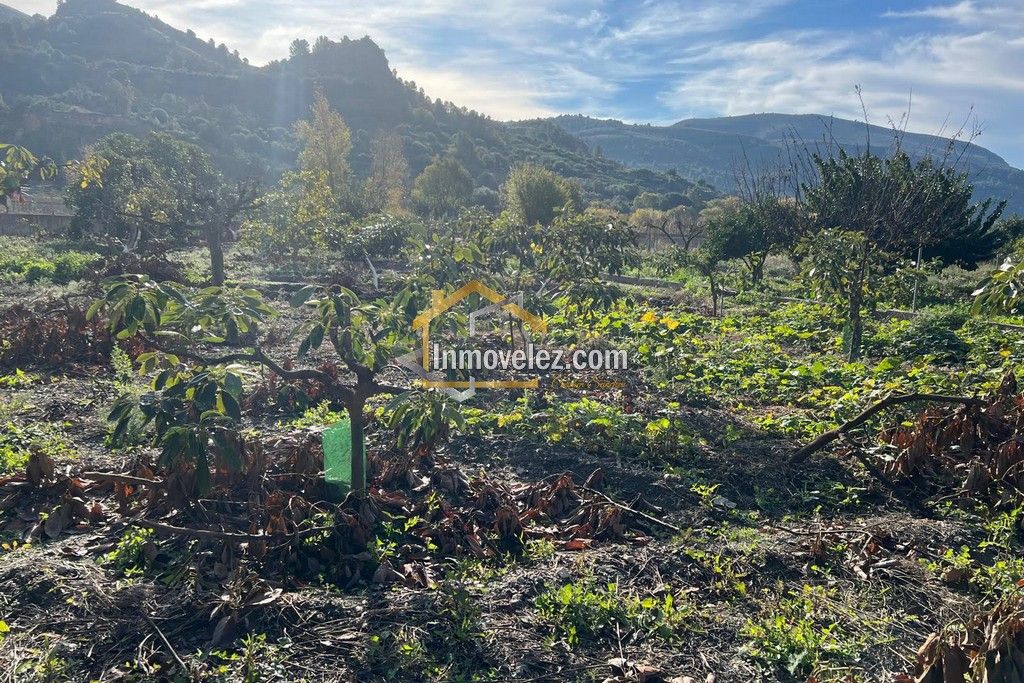 Cortijo en Vélez de Benaudalla (Ref.:0497)