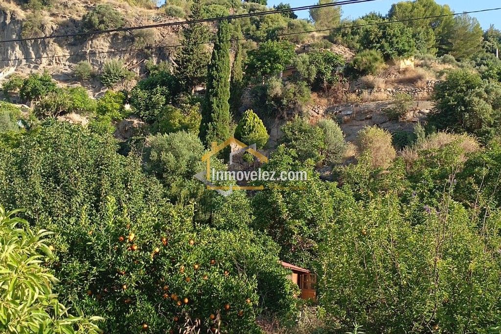 Cortijo en Vélez de Benaudalla (Ref.:0497)