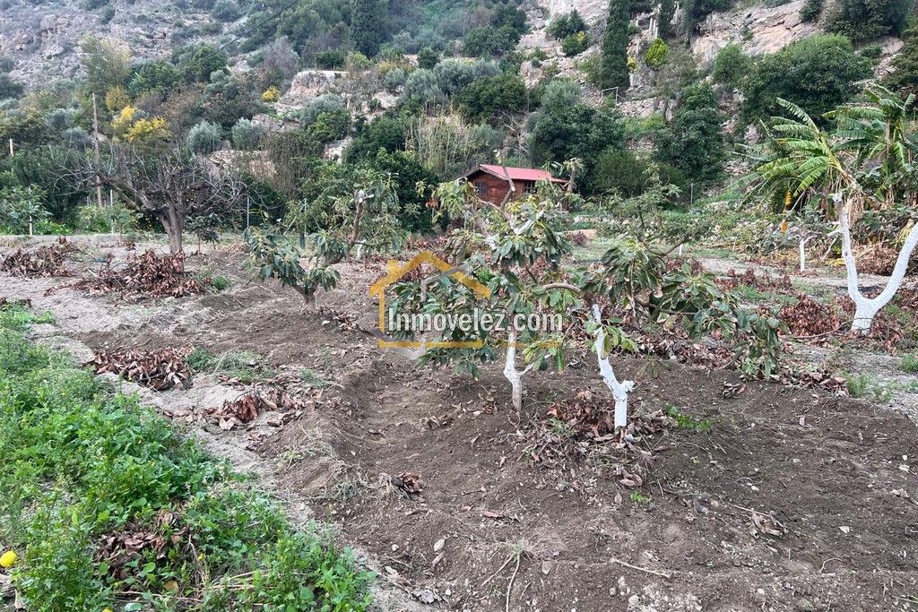 Cortijo en Vélez de Benaudalla (Ref.:0497)