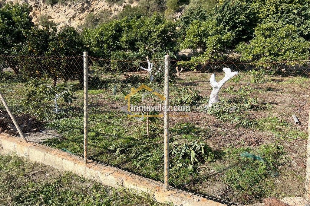 Cortijo en Vélez de Benaudalla (Ref.:0497)