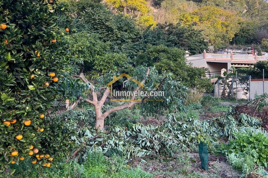 Cortijo en Vélez de Benaudalla (Ref.:0497)