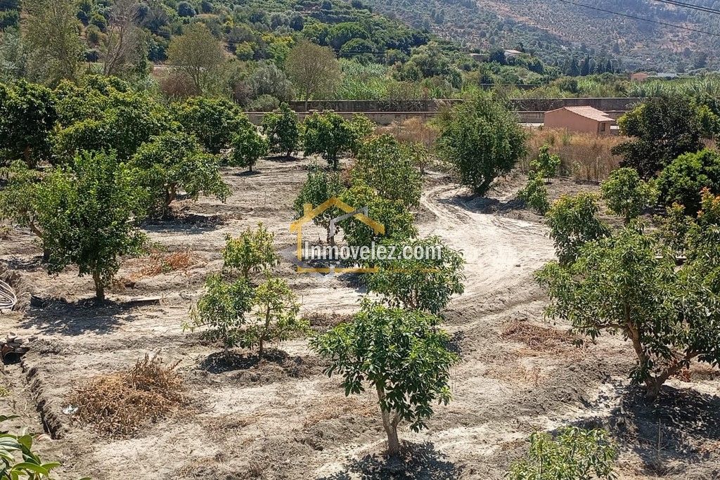 Cortijo en Vélez de Benaudalla (Ref.:0497)