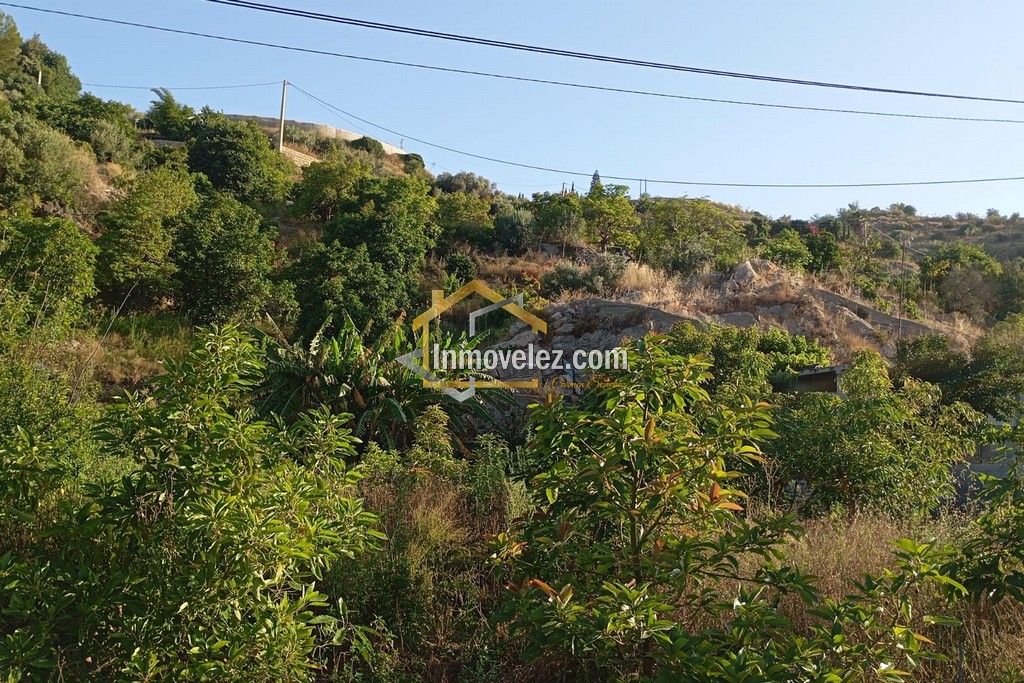 Cortijo en Vélez de Benaudalla (Ref.:0497)