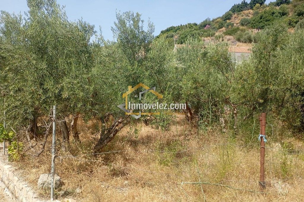 Cortijo en Vélez de Benaudalla (Ref.:0497)